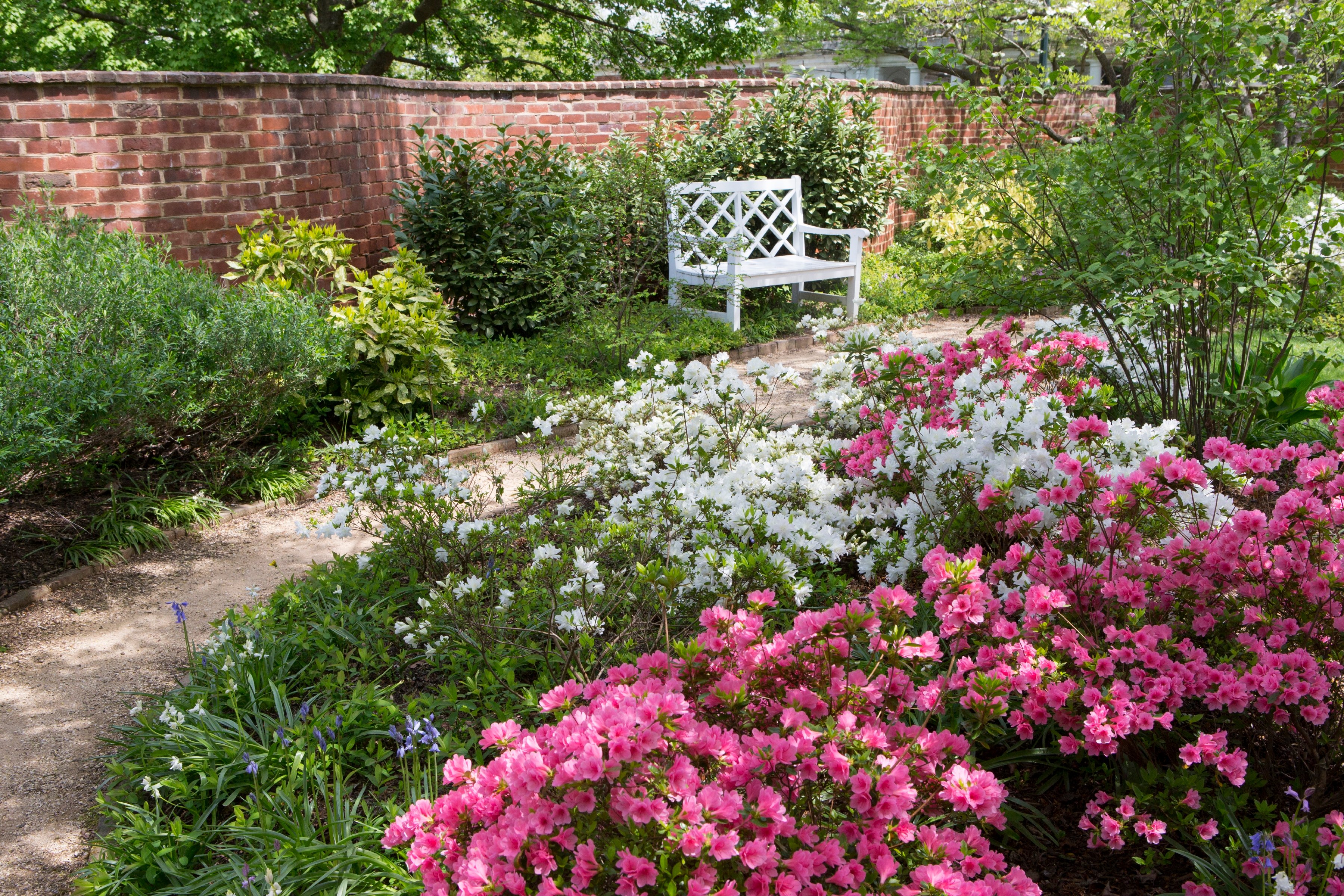 Perfect Day - UVA Gardens