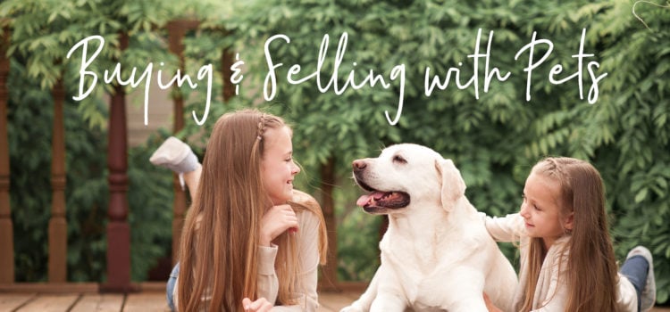 Buying with Pets- Blog_Page_1