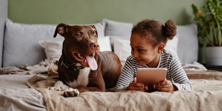 Front view portrait of cute African-American girl lying on bed with big pet dog and smiling, copy space
