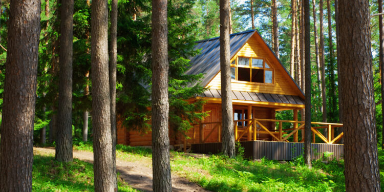 Log house in the forest
